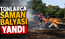 Tonlarca saman balyası yandı