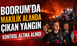 Bodrum'da makilik alanda çıkan yangın kontrol altına alındı