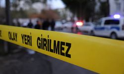 Darp edilen kadın hayatını kaybetti