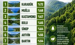 Muğla en yeşil iller arasında ikinci oldu