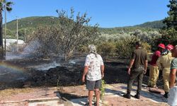 Marmaris'te zirai alan yangını kontrol altında