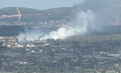 Muğla Menteşe’de orman yangını
