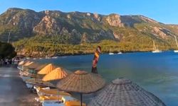 Muğla Çileği Projesi kırsalda üretim ve istihdamı artırdı