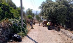 BODRUM'DA OT TEMİZLİĞİ ÇALIŞMALARI SÜRÜYOR