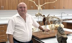 Mamut dişinin de aralarında bulunduğu zooarkeolojik kalıntılarla veterinerlik eğitimi