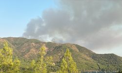 Marmaris'te çıkan orman yangınına müdahale ediliyor