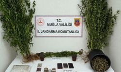 Muğla Jandarmasından uyuşturucu tacirlerine operasyon: 33 tutuklama