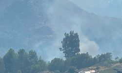 Dalaman'da orman yangını