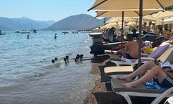 Marmaris'te sahillere sıkı denetim
