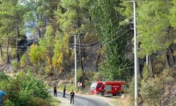Seydikemer’de orman yangını kontrol altına alındı