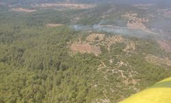 Muğla’da orman yangını kontrol altına alındı