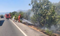 Ula’da yol kenarında başlayan alevler korkuttu