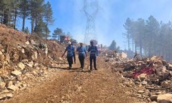 Menteşe Yılanlı yangını kontrol altına alındı