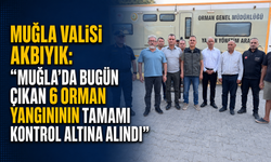 Muğla Valisi Akbıyık: "Muğla’da bugün çıkan 6 orman yangınının tamamı kontrol altına alındı"