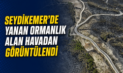 Seydikemer'de yanan ormanlık alan havadan görüntülendi