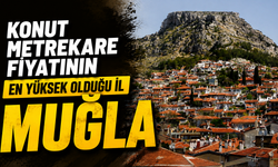 Konut metrekare fiyatının en yüksek olduğu il Muğla