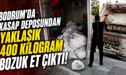 Bodrum'da kasap deposundan yaklaşık 400 kilogram bozuk et çıktı