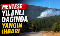 Menteşe Yılanlı dağında yangın ihbarı
