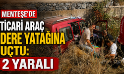 Menteşe'de ticari araç dere yatağına uçtu: 2 yaralı
