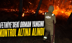 Fethiye'deki orman yangını kontrol altına alındı