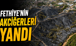 Fethiye’nin akciğerleri yandı