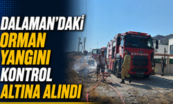 Dalaman'daki orman yangını kontrol altına alındı