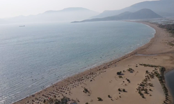 Uydu cihazıyla izlenen caretta caretta "Tuba" Bodrum açıklarında yaşamını sürdürüyor
