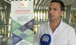 Uzmanlar Akdeniz'deki plastik kirliliğinin kaynağı olarak nehirleri gösteriyor