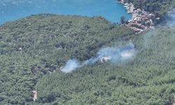 Muğla'da çıkan orman yangını kontrol altına alındı