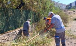 Bodrum’da Ot Temizliği Çalışmaları Devam Ediyor