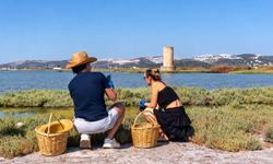 Turistler Bodrum’da mutfağa girdi: "Kendi topladıkları börülceyi sofrada yediler"
