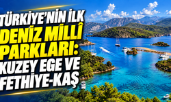 Türkiye’nin ilk deniz millî parkları: Kuzey Ege ve Fethiye-Kaş