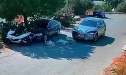 Otomobiliyle köpeklerin üzerinden geçti