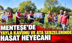 Menteşe’de Yayla Kavunu ve Ata Sebzelerinde Hasat Heyecanı
