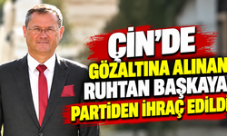 Çin’de Gözaltına Alınan Ruhtan Başkaya Partiden İhraç Edildi