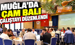 Muğla’da Çam Balı Çalıştayı düzenlendi