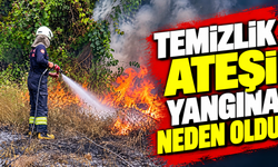 Temizlik ateşi yangına neden oldu