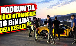 Bodrum'da lüks otomobile 16 bin lira ceza kesildi