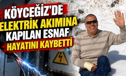 Köyceğiz’de elektrik akımına kapılan esnaf hayatını kaybetti
