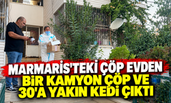 Marmaris'teki çöp evden bir kamyon çöp ve 30'a yakın kedi çıktı