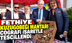 Fethiye kuzugöbeği mantarı coğrafi işaretle tescillendi
