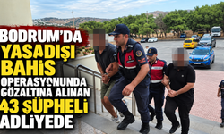 Bodrum'da yasadışı bahis operasyonunda gözaltına alınan 43 şüpheli adliyede