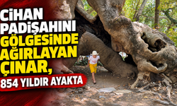Cihan padişahını gölgesinde ağırlayan çınar, 854 yıldır ayakta