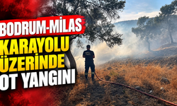 Bodrum-Milas karayolu üzerinde ot yangını