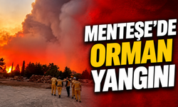 Menteşe’de orman yangını