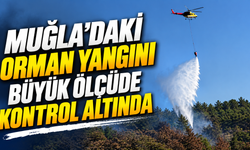 Muğla'daki orman yangını büyük ölçüde kontrol altında