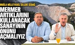 Muğla Milletvekili Selçuk Özdağ:"Mermer artıklarını kullacak sanayinin önünü açmalıyız"
