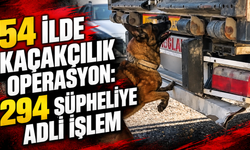 54 ilde kaçakçılık operasyon: 294 şüpheliye adli işlem