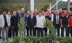 Muğla'da defne üretimi kadın çiftçilerle destekleniyor