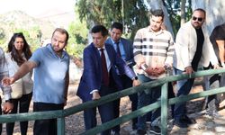 Mahalle sohbetleri Hisarönü’nde devam etti